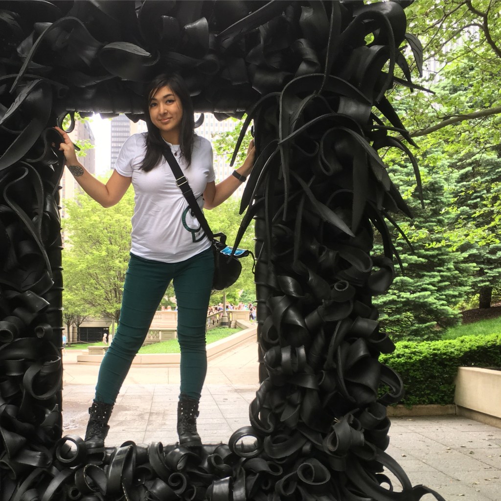 2016 Chicago Park Art