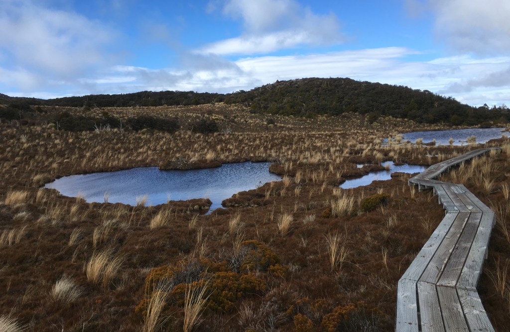 2016 New Zealand, Waitonga Falls