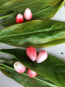 2018 Materials for Hookupu