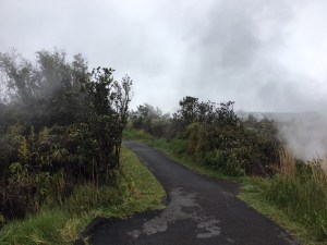 2018 Sulfur Banks Trail